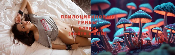 скорость Алексин