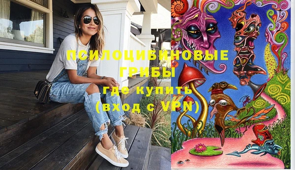 соль ск Алзамай