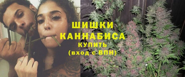 соль ск Алзамай
