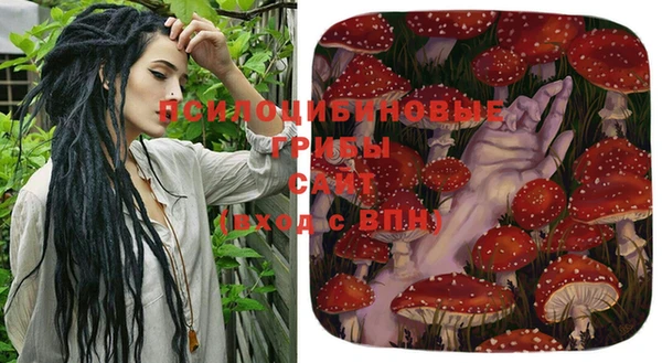 соль ск Алзамай