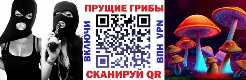 Галлюциногенные грибы мухоморы  купить наркотики сайты  Кизел 